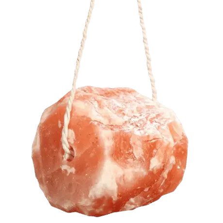 Himalayan animal licking salt blocks